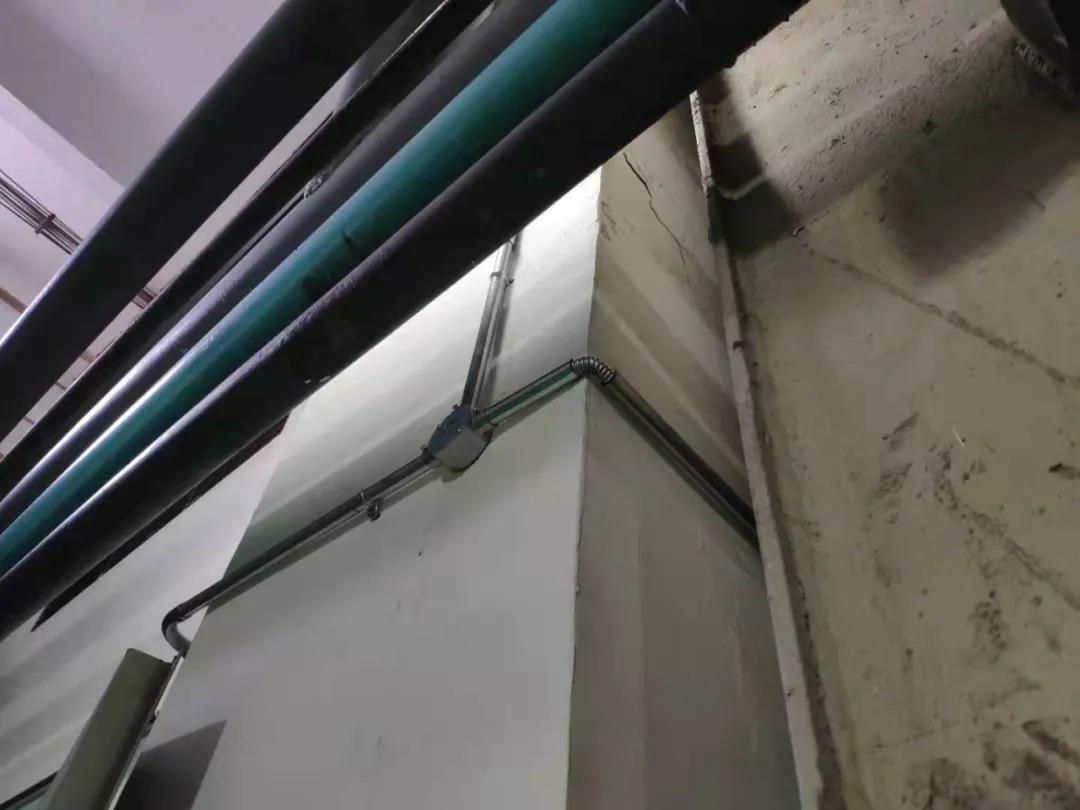 1628132015487063175.jpg 11.jpg